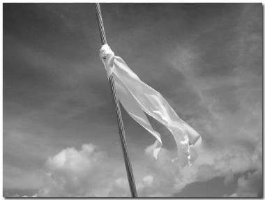 white-flag-2